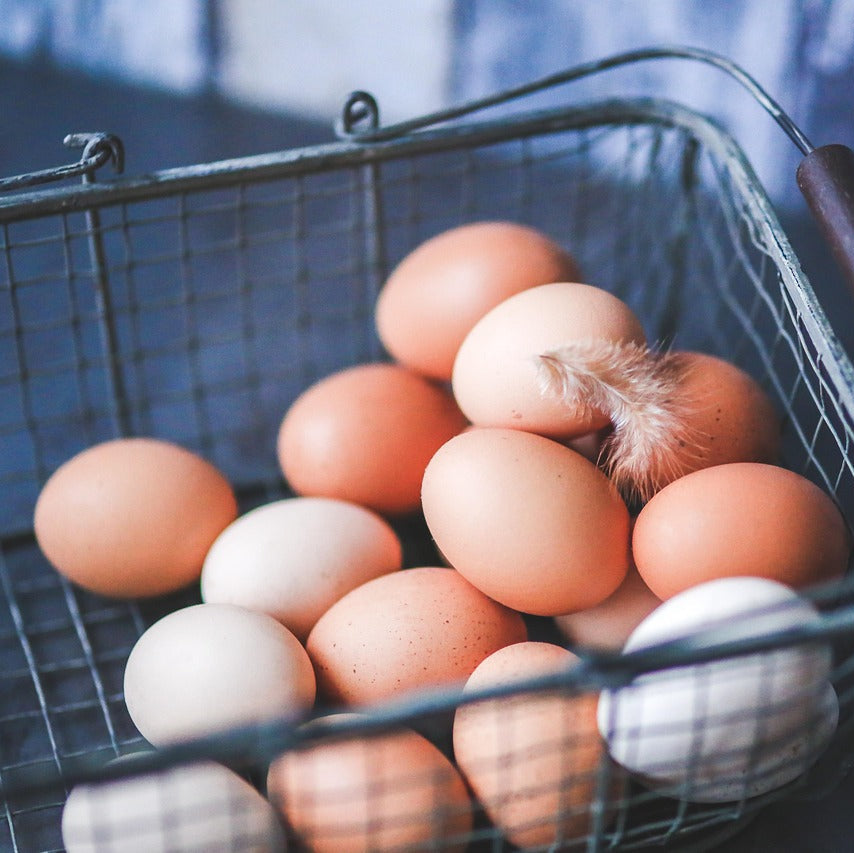 Pastured Chicken Eggs - Coming April 2026