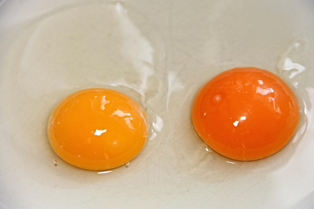 SALE - Pastured Chicken Eggs