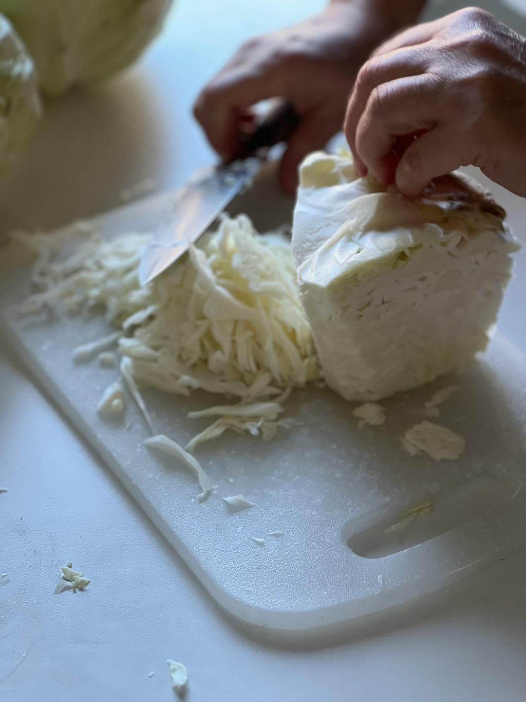 Sauerkraut